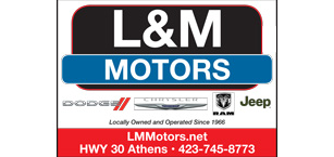 L&M Motors
