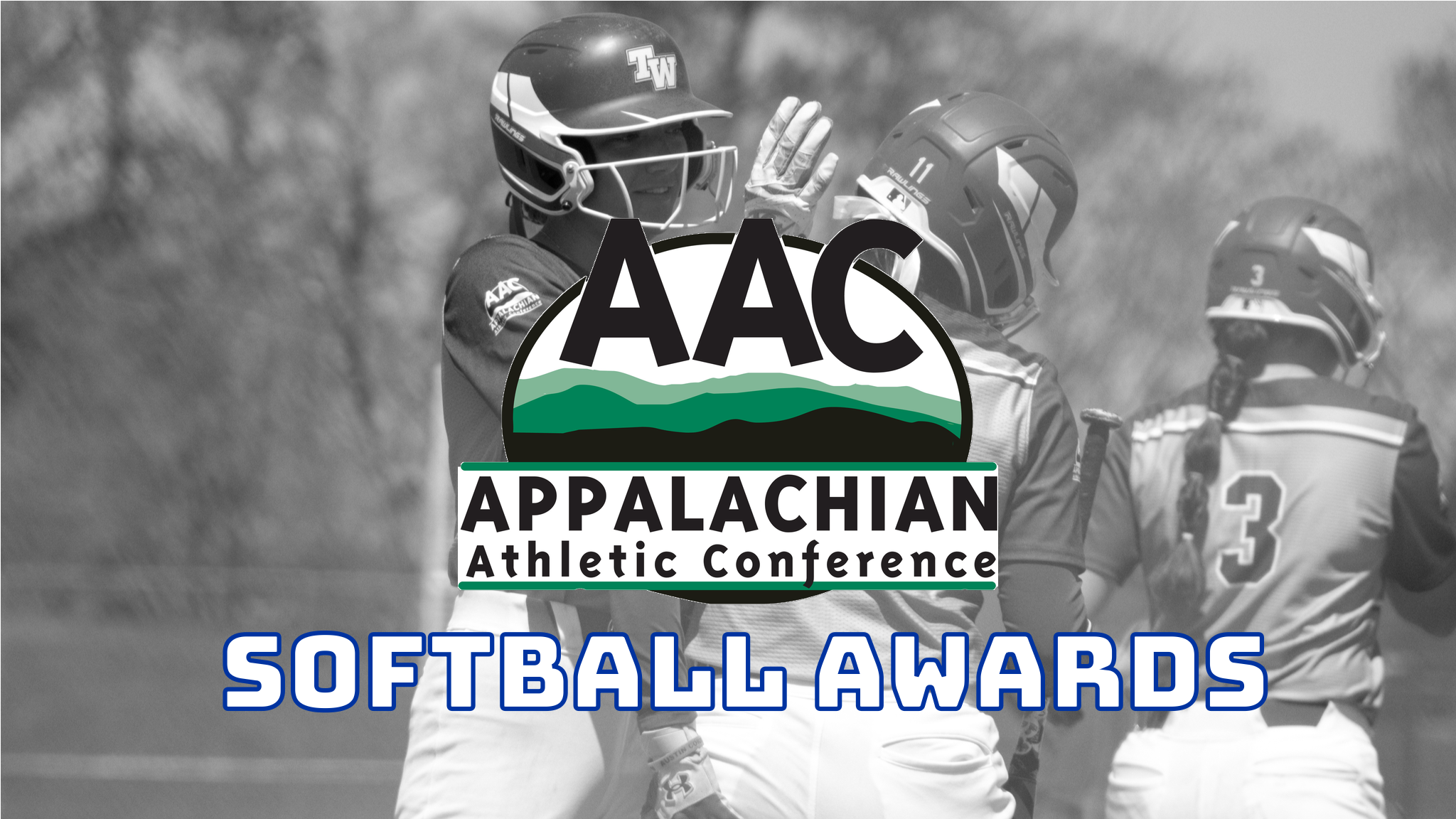 Softball Earns Multiple AAC Awards