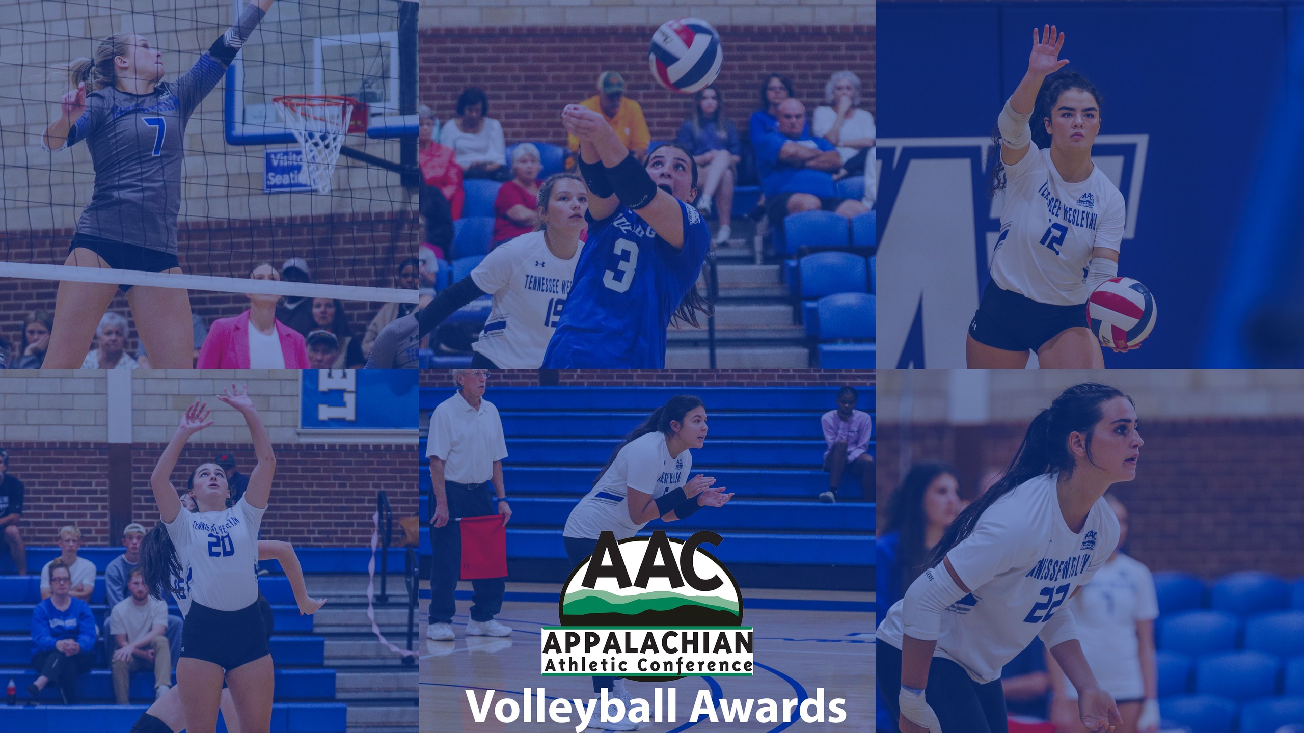 Volleyball Earns AAC Season Awards
