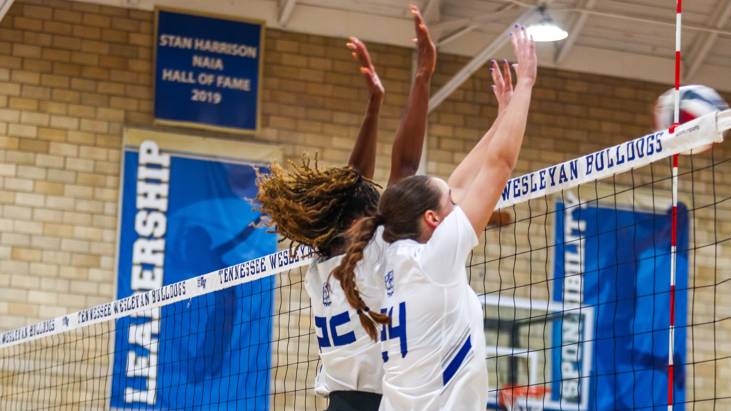 Volleyball Completes Season Sweep of Bryan